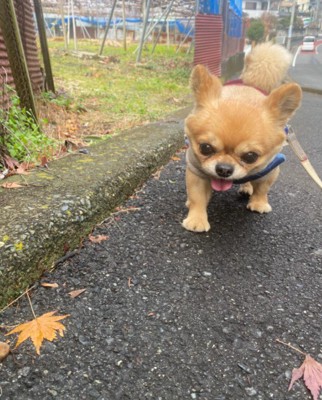 お花が好きな可愛い面も♡