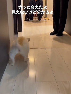ペタペタとゆっくり前進