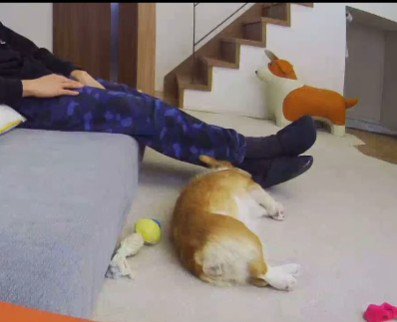 そのまま寝ちゃった(笑)