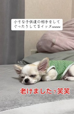 ぐったりの凛くん
