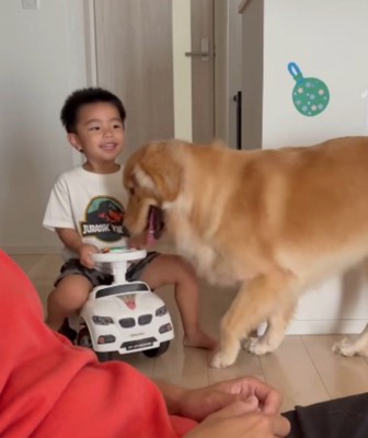 おもちゃの車に乗る男の子と、近くに佇む犬