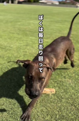 悲しいこともあったけど…