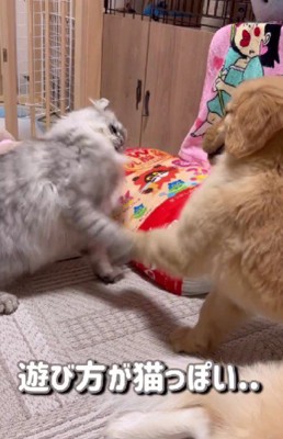 「先輩！こうですか！？」