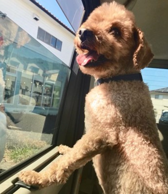 車内のイオくん