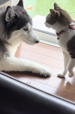 「なんでだめなん？」