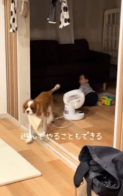 遊ぶふたり