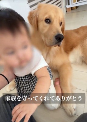 赤ちゃんは大切な家族だよ♡