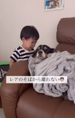 そばから離れない