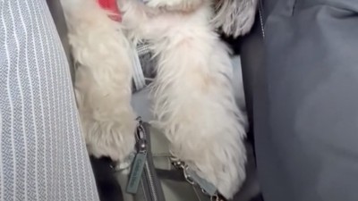 後部座席に目をやると…？