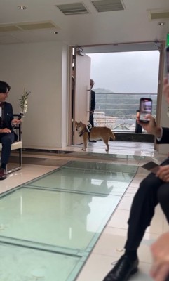 リングドッグを務めるじろー君2