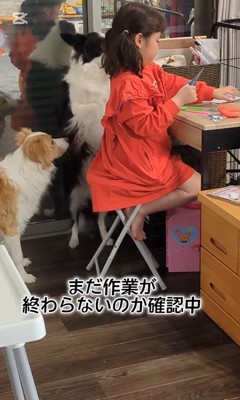 作業中のお姉ちゃんとアグちゃん6