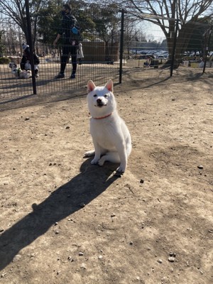 誇らしげ