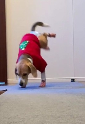 「おおおおお」