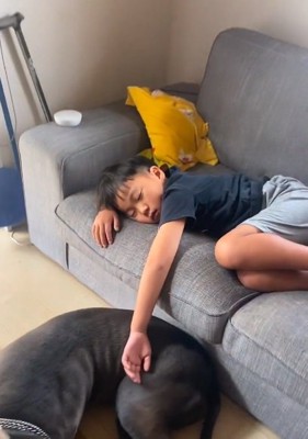 ハルクくんに触れている息子さん
