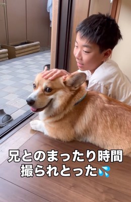 微笑む犬