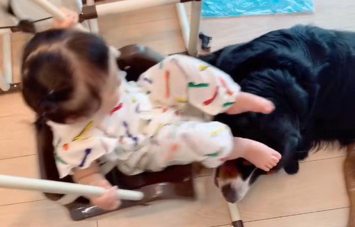 女の子を見守るダンロくん3