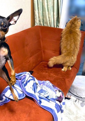 誰かがフレームイン