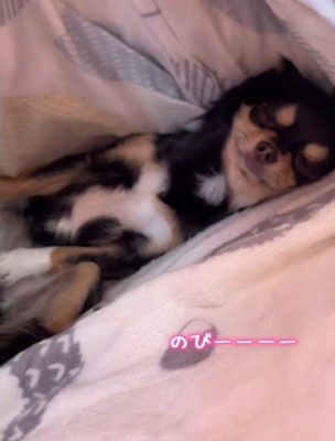 前足をピーン！！