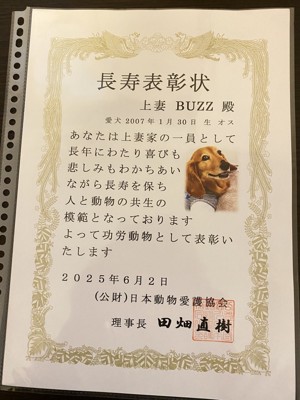 匿名の投稿画像