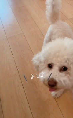 おやつを食べるだんぼくん