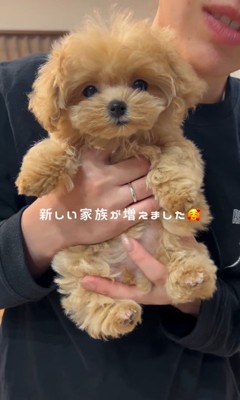 ぷぅちゃんとうみちゃんの初対面