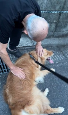 ピノくんとご夫婦の再会7