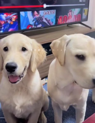 初めは無表情だった…