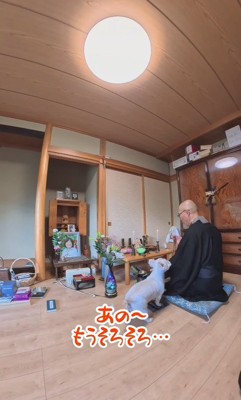 「そろそろ終わりにしません?」