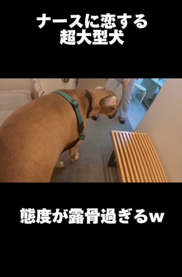 「ついに僕が来ましたよ」