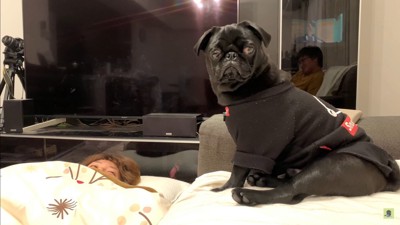 ママさんを介抱するわさび君3