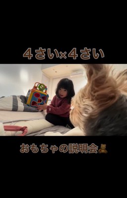 4歳の女の子と虎太郎くん4