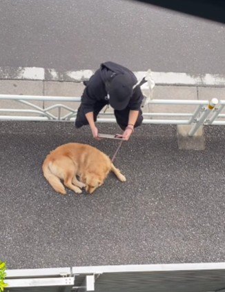 静かに見守る姿にホッコリ