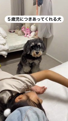 ベッドの上に寝転がる女の子