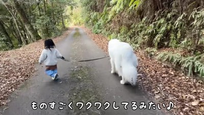2歳のろのちゃんとお散歩