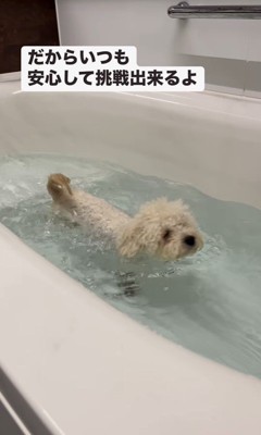 泳ぎにチャレンジするロコちゃん9