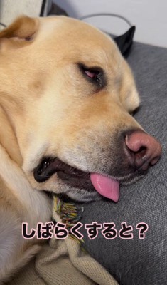 しばらくすると…