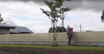 飼い主に抱っこされている柴犬と足元にいる柴犬