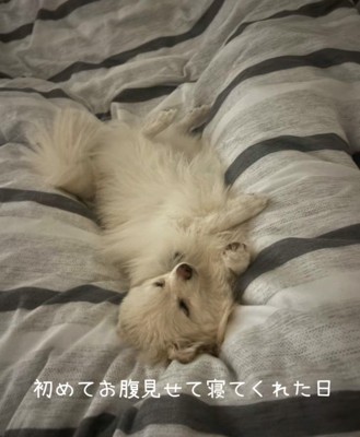 信頼を寄せてくれるように…