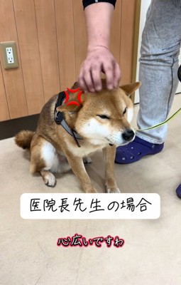 唸るごんちゃん