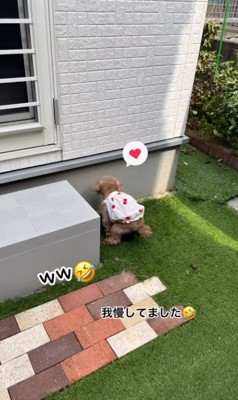 お父さんの帰りを待つティナちゃん⑩