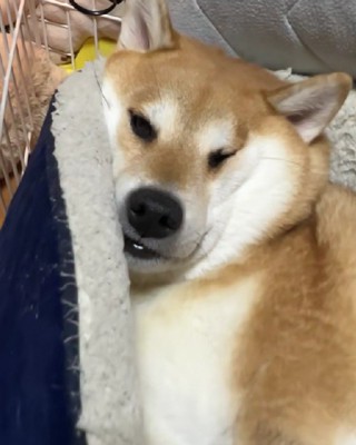 セルフコントロールって大切だよね