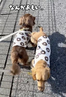 異変に気づいたくったん