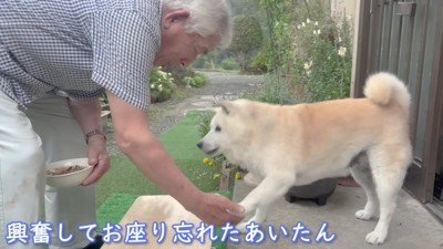 素敵なおてと…