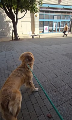 サンタくんがパパに気づくのか検証2