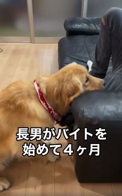 おやつを見つめるマリンちゃん3