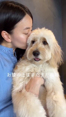 女性の膝の上で笑顔を浮かべる子犬