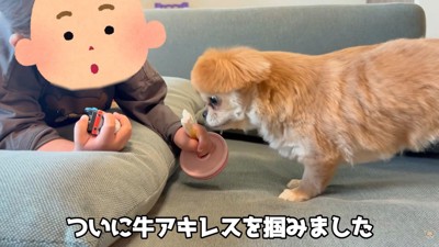 男の子がオヤツを掴むと…