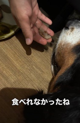 食べられなくなって…