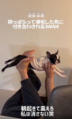 困惑するしらこちゃん