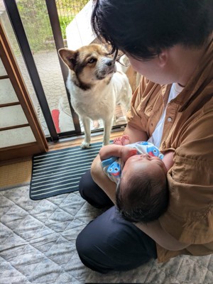 過保護